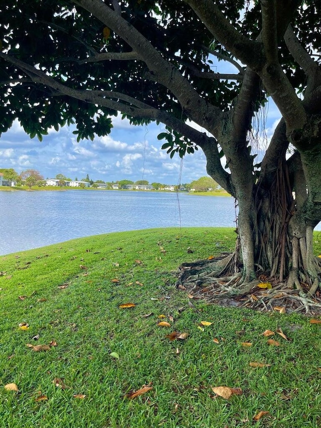 view of water feature