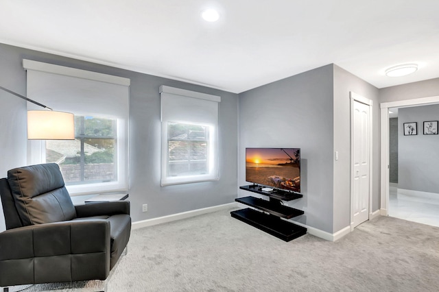 sitting room with carpet floors