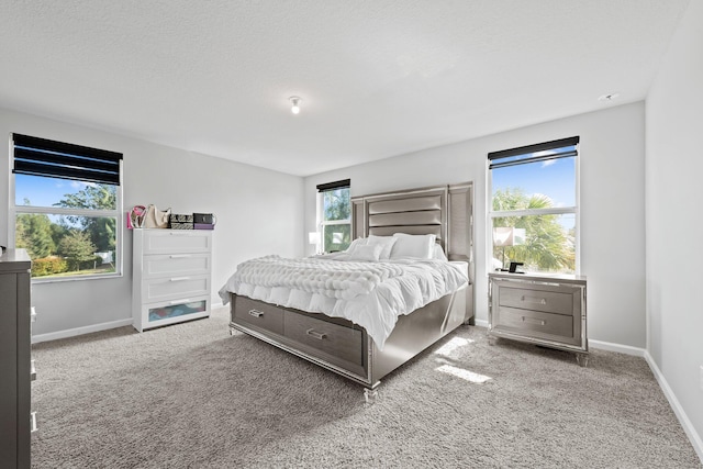 bedroom featuring light carpet, multiple windows, and a textured ceiling