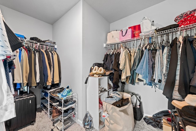 spacious closet featuring radiator and carpet floors