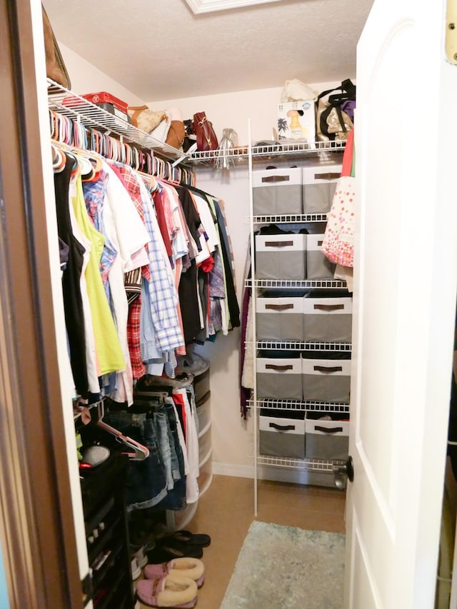 view of walk in closet