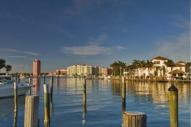 dock area featuring a water view