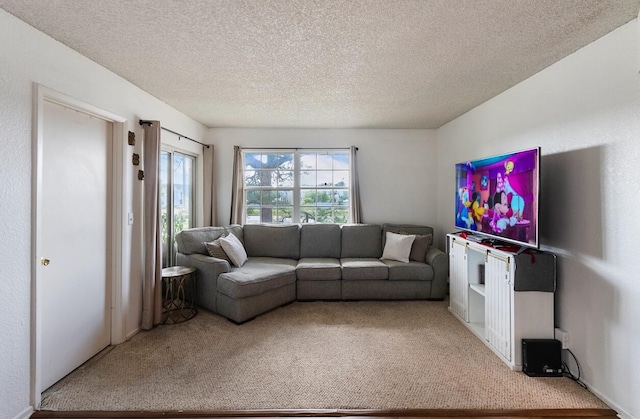 living room with plenty of natural light, carpet flooring, and a textured ceiling