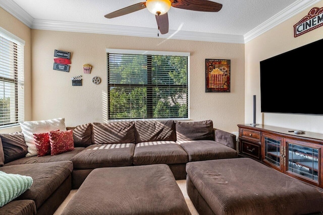 living room with ceiling fan and ornamental molding