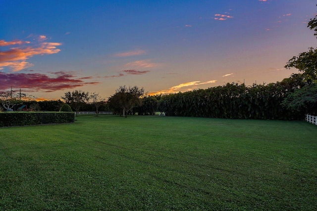 view of yard at dusk