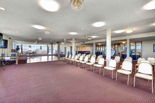 miscellaneous room featuring plenty of natural light, carpet floors, and a textured ceiling