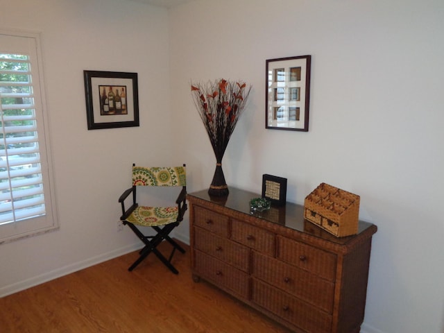 living area with hardwood / wood-style floors and a wealth of natural light