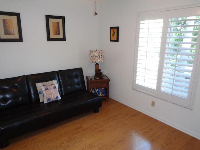 living room with light hardwood / wood-style flooring