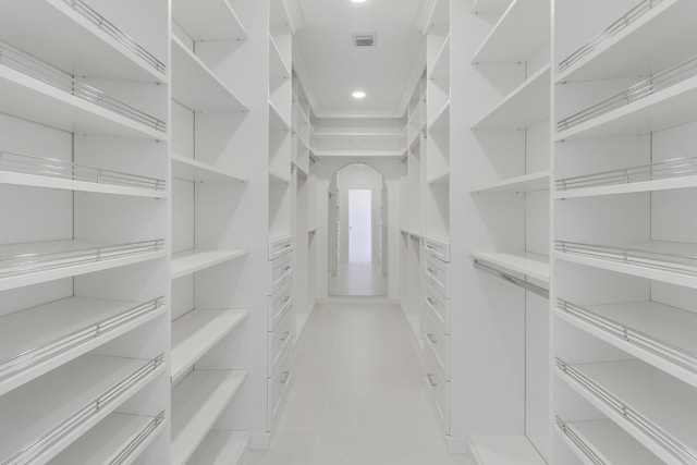 view of spacious closet