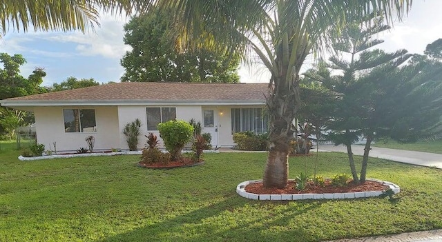 ranch-style house with a front yard