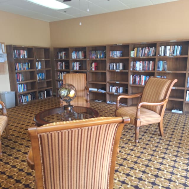 interior space with carpet flooring and ceiling fan