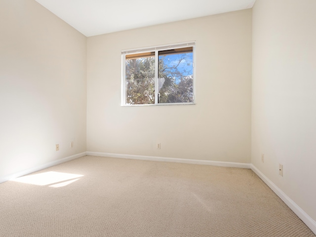 unfurnished room featuring carpet