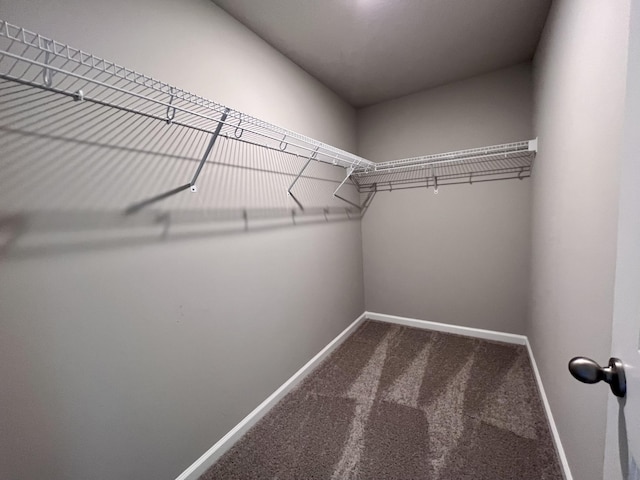 walk in closet featuring carpet