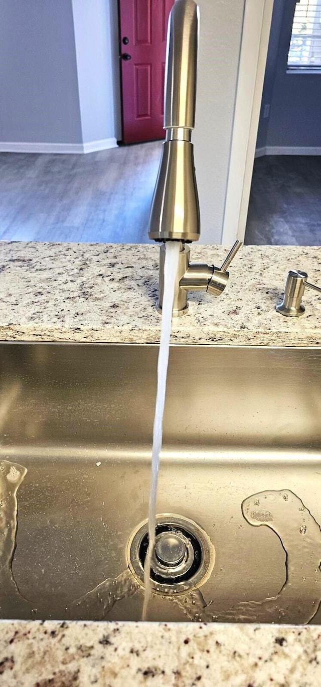 interior details featuring sink and dark hardwood / wood-style floors