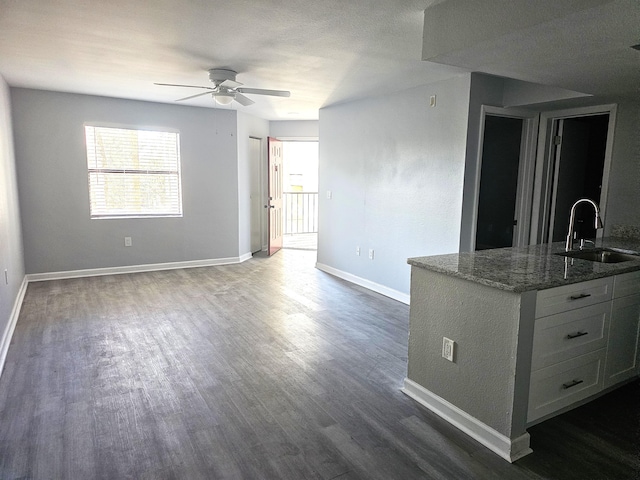 interior space with ceiling fan, sink, and dark hardwood / wood-style floors