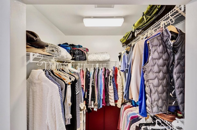 view of spacious closet