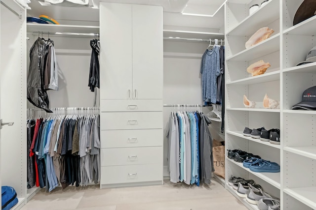 view of walk in closet