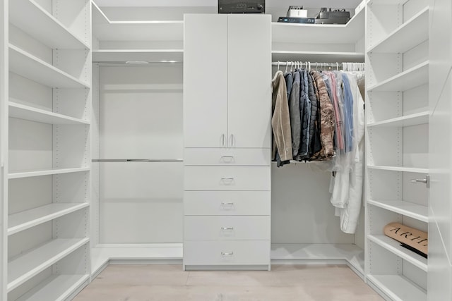 view of walk in closet