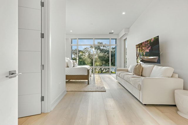 living room with light wood-type flooring