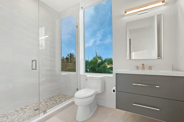 bathroom featuring vanity, toilet, and a shower with door