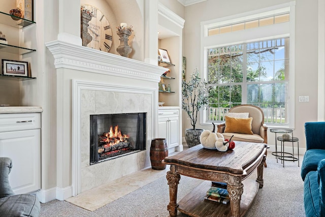 living area featuring baseboards, a premium fireplace, and built in features