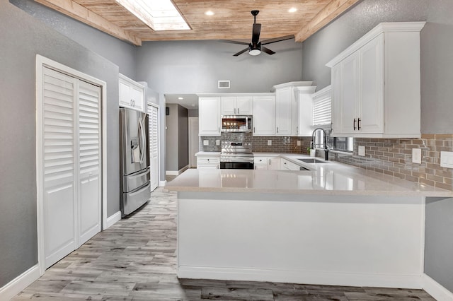 kitchen with sink, a skylight, stainless steel appliances, and kitchen peninsula