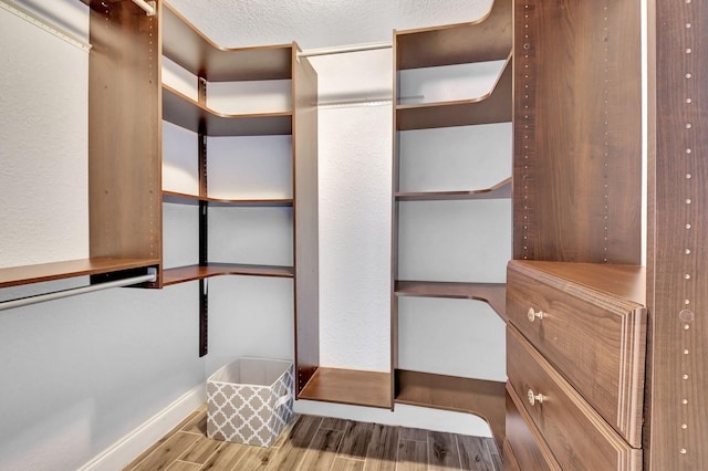 spacious closet featuring light hardwood / wood-style flooring