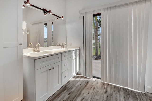 bathroom featuring vanity and wood-type flooring