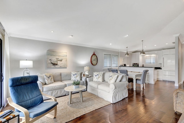 living room with ornamental molding and dark hardwood / wood-style flooring