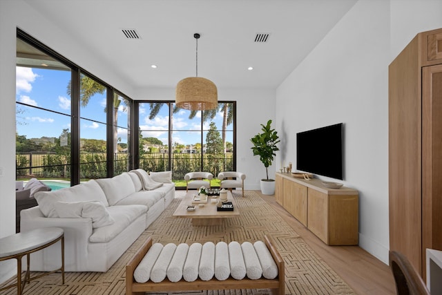 living room featuring light hardwood / wood-style floors