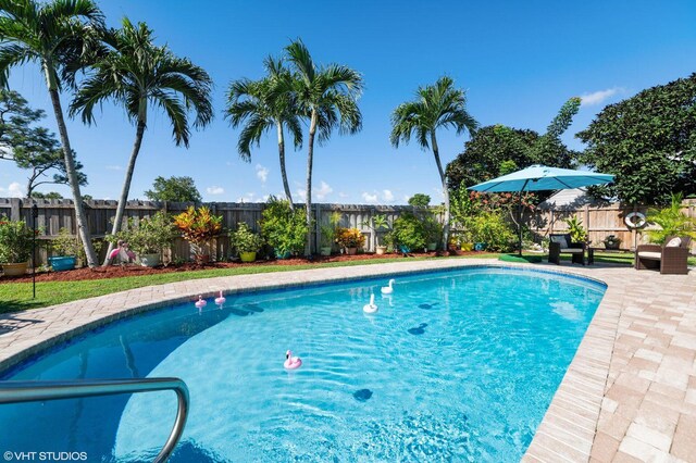 view of pool with a patio