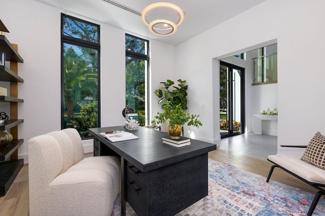 home office featuring a wealth of natural light and light hardwood / wood-style flooring