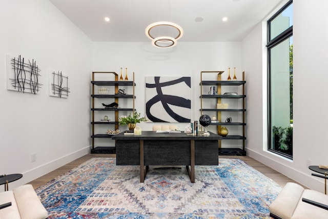 office featuring wood-type flooring