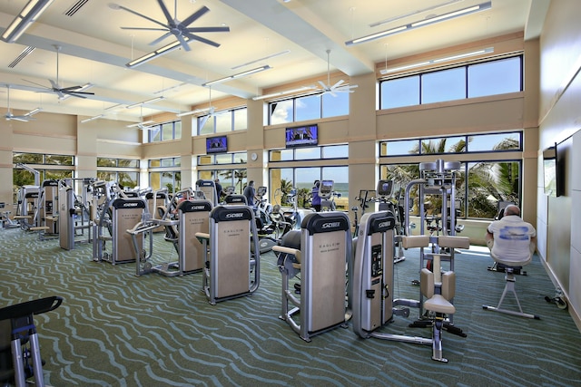 workout area with a towering ceiling, ceiling fan, and carpet flooring