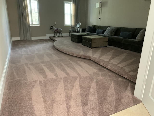 living room featuring carpet floors