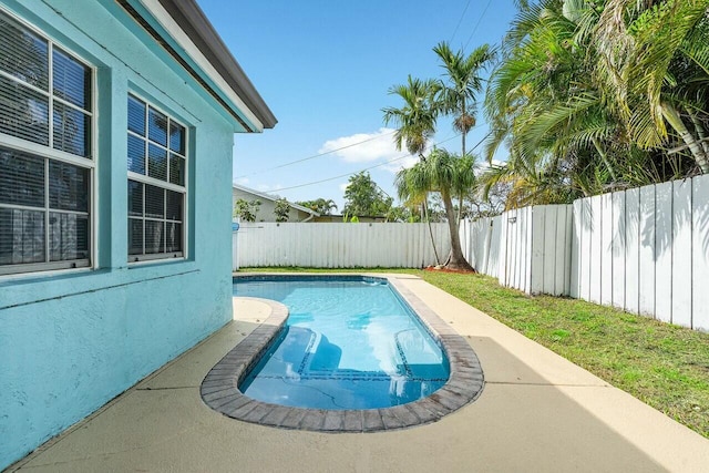 view of pool featuring a patio area