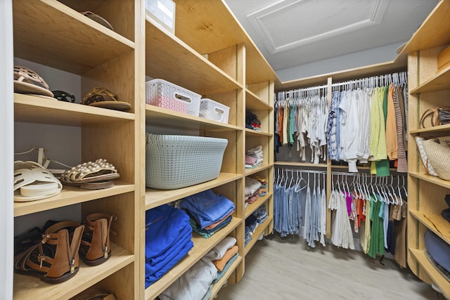 spacious closet featuring wood-type flooring