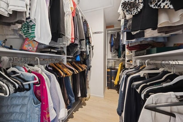 walk in closet with light hardwood / wood-style floors