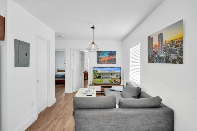 living room featuring hardwood / wood-style flooring and electric panel