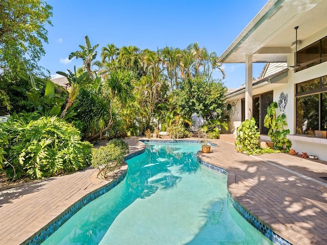 view of swimming pool featuring a patio