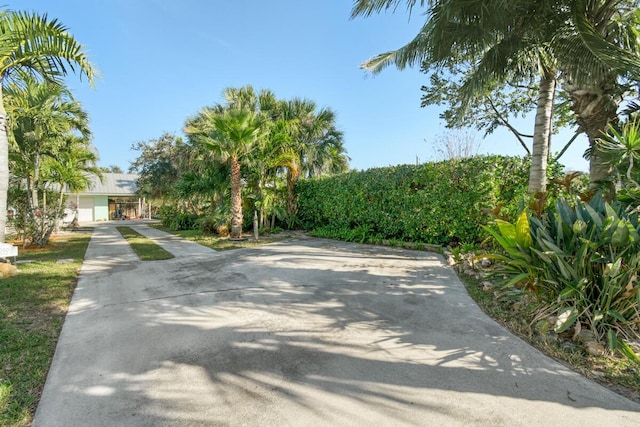 view of street with concrete driveway