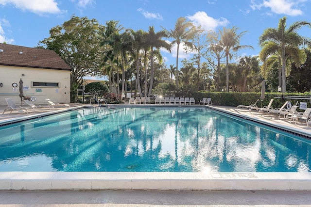 view of pool featuring a patio