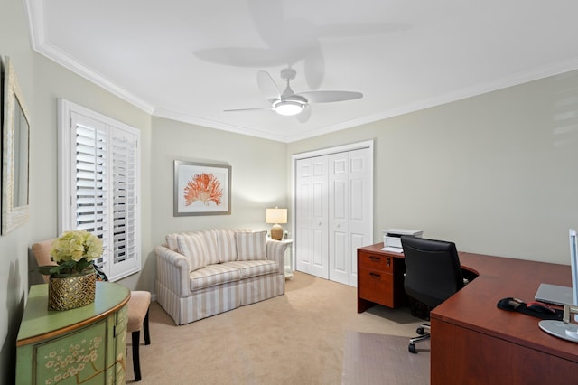 carpeted office space featuring crown molding and ceiling fan