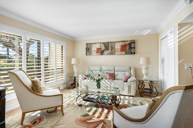 living room featuring crown molding and a textured ceiling