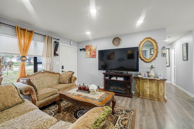 living room featuring hardwood / wood-style floors