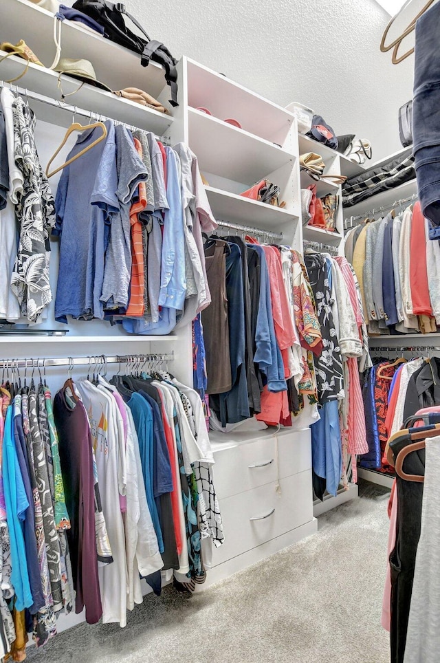 spacious closet featuring light colored carpet