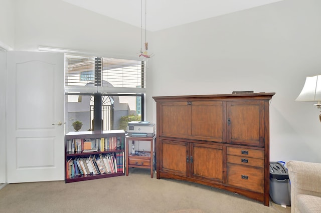 living area featuring light colored carpet