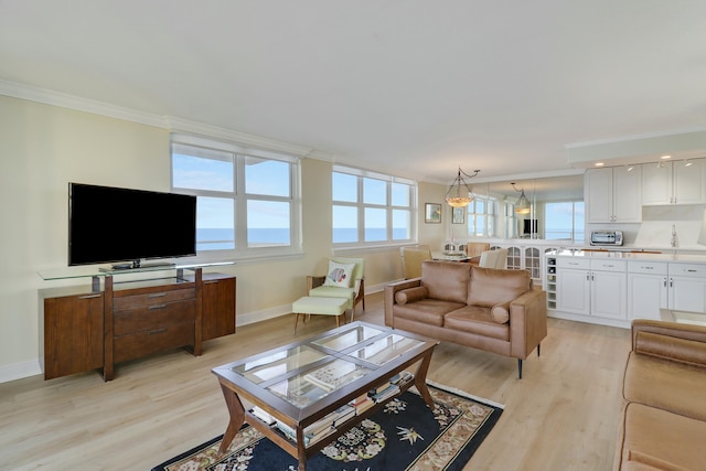 living room with ornamental molding, light hardwood / wood-style flooring, and a wealth of natural light