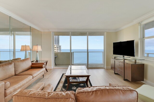 living room featuring sink, crown molding, and light hardwood / wood-style floors