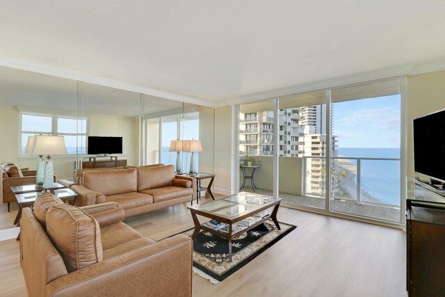 living room with expansive windows, crown molding, light hardwood / wood-style floors, and a wealth of natural light